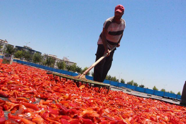 Şanlıurfalıların 'acı' telaşı başladı