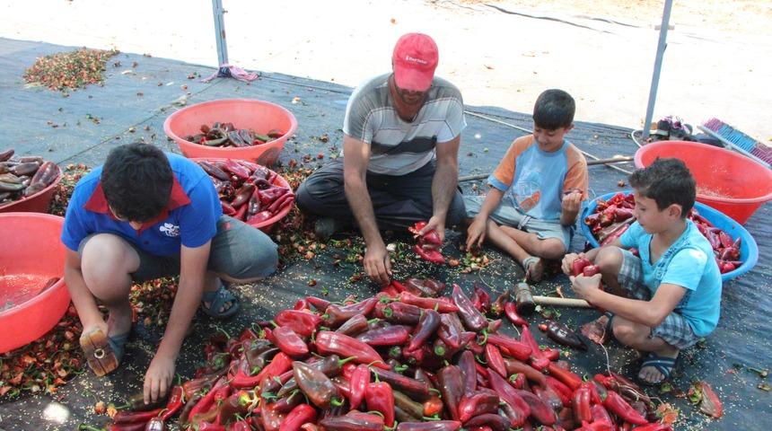 Şanlıurfalıların 'acı' telaşı başladı! Urfa kırmızıya b&uuml;r&uuml;nd&uuml;