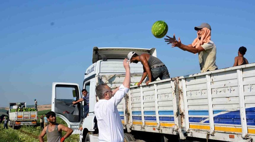 Karacabey’de karpuz hasadı başladı