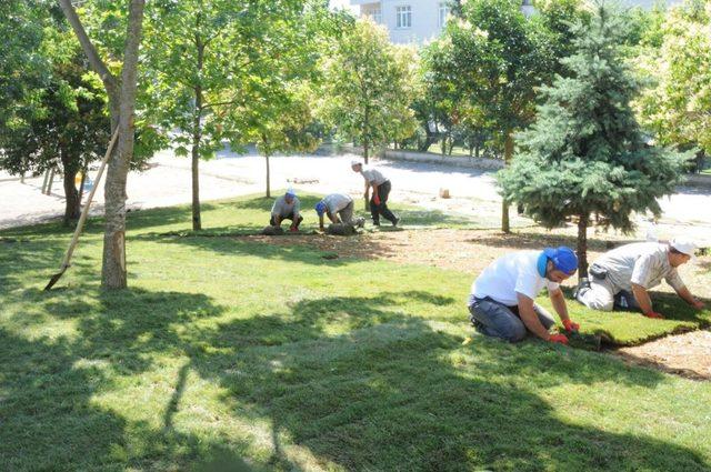 Darıca’da parklar yenileniyor