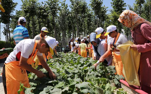 Özel çocuklar, diktikleri sebzelerin hasadını yaptı