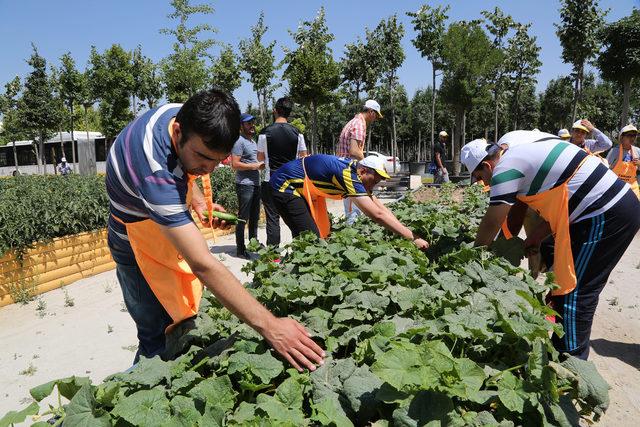 Özel çocuklar, diktikleri sebzelerin hasadını yaptı