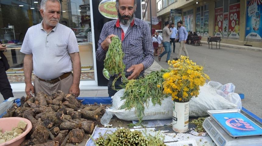 Şifa Arayanlar &lsquo;Civanper&ccedil;emine&rsquo; ilgi g&ouml;steriyor