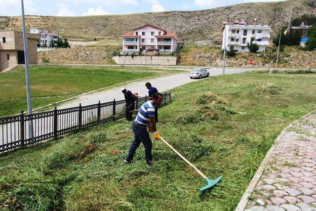 Bayburt’ta parklarda çim biçme ve ilaçlama çalışması