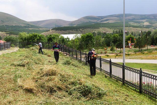 Bayburt’ta parklarda çim biçme ve ilaçlama çalışması