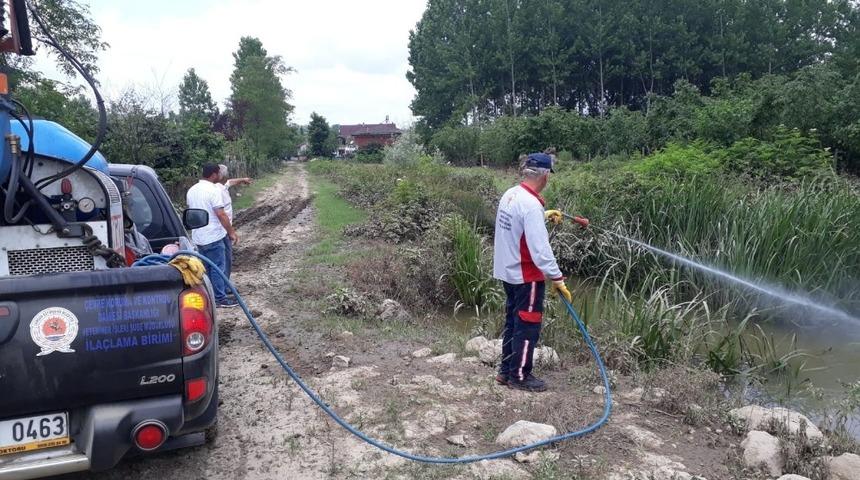 B&uuml;y&uuml;kşehirden haşereye karşı motorize ila&ccedil;lama