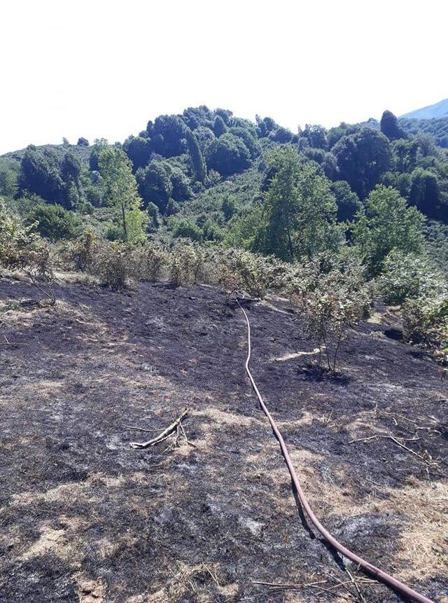 Alaplı&rsquo;da &uuml;&ccedil; d&ouml;n&uuml;ml&uuml;k fındık bah&ccedil;esi yandı 2