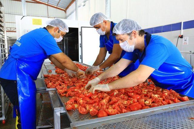 Büyükşehirden ürünlerin ömrünü uzatan tesis