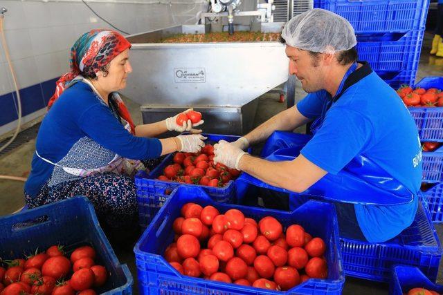 Büyükşehirden ürünlerin ömrünü uzatan tesis