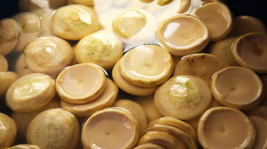 Karaciğeri yenileyen ve arındıran enginar kürü