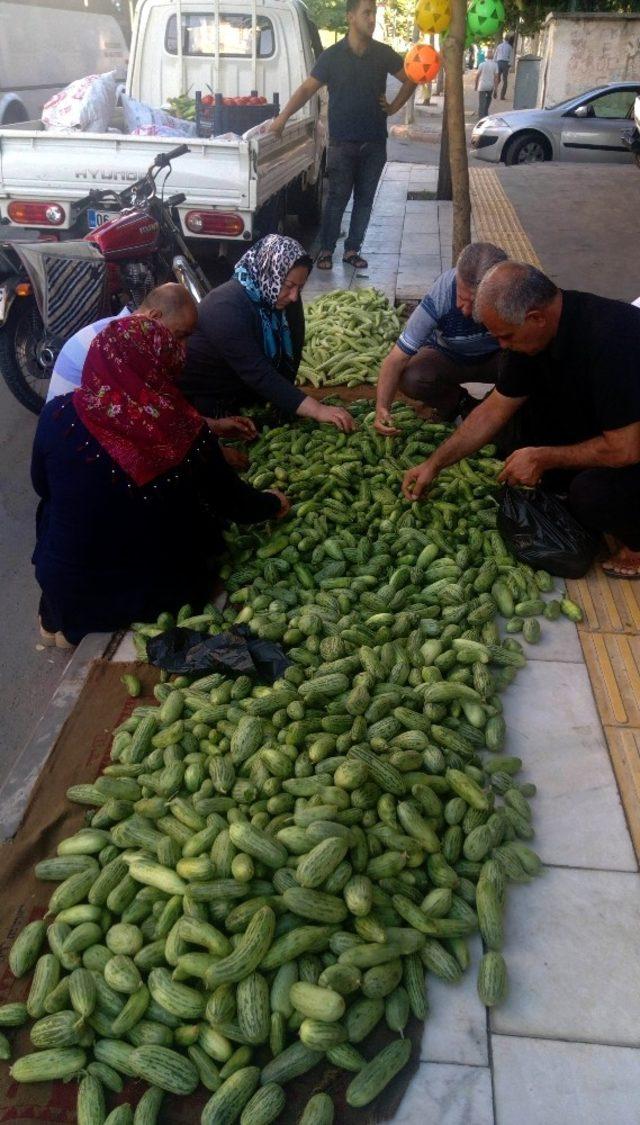 Kilis’te kurutmalık acur sezonu açıldı