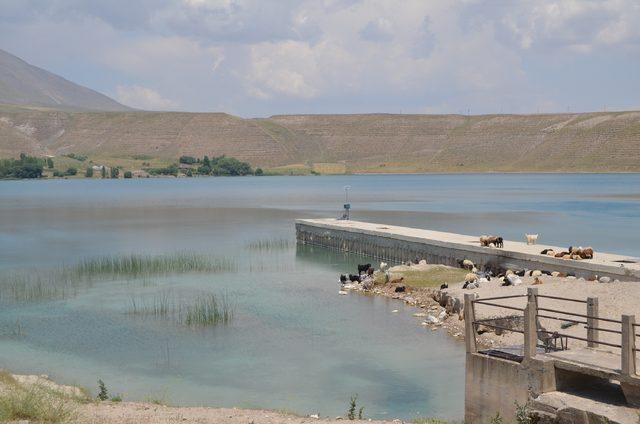 Aygır G&ouml;l&uuml;&rsquo;ndeki zebra midye tehdidi i&ccedil;in bakanlık devreye girdi 4