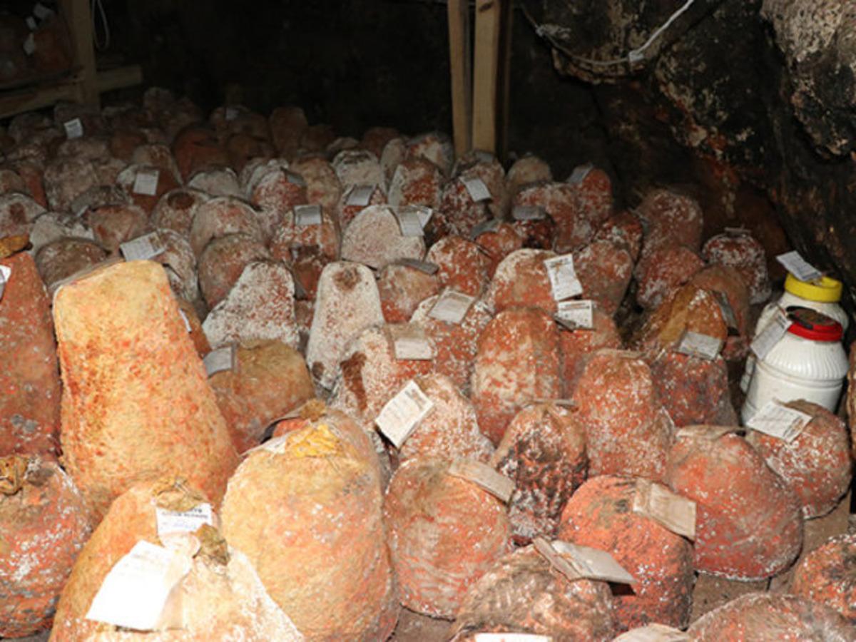 Y&Ouml;REX 2019'a sayılı g&uuml;nler kaldı! İ&ccedil; Anadalu Y&Ouml;REX fuarında