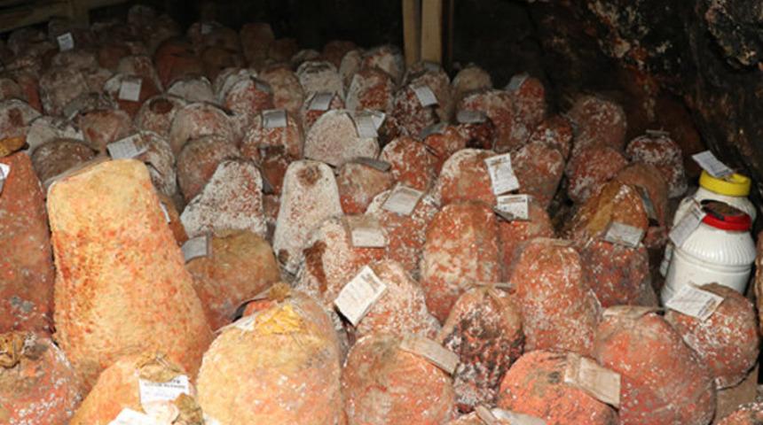 "Yerli Rokfor" mağaraya inmeye başladı