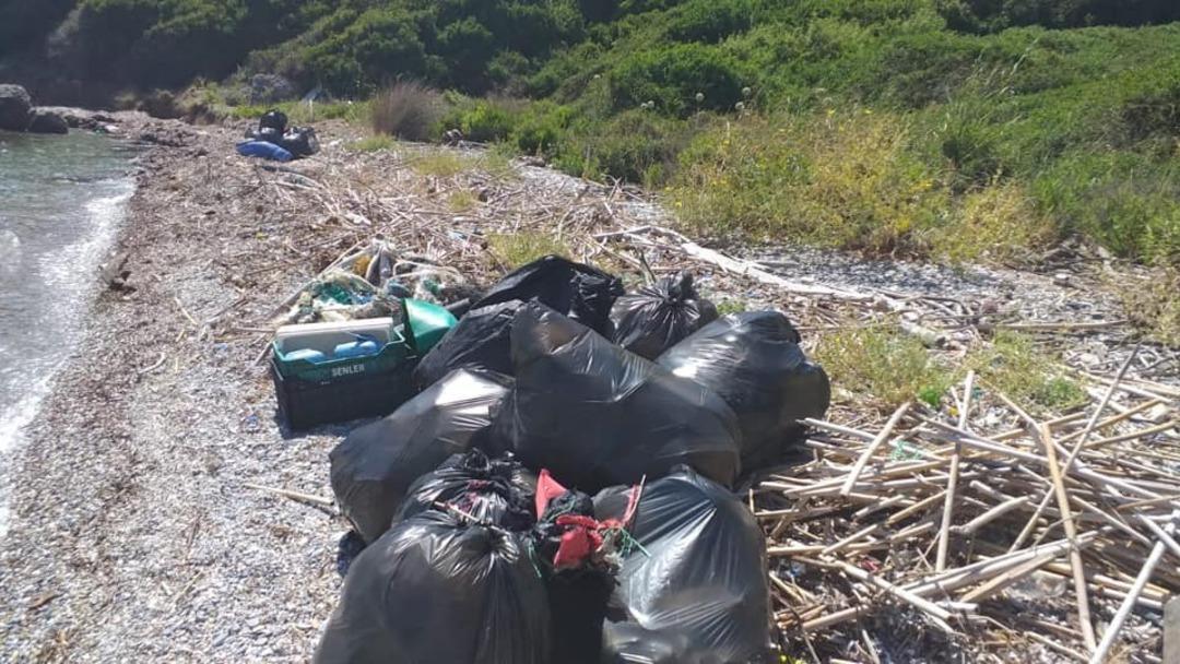 Milli Park&rsquo;ta kıyı temizliği