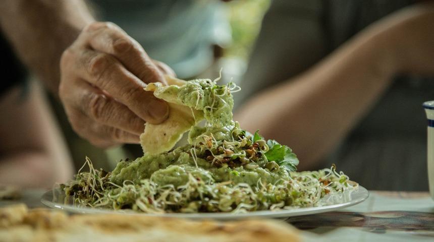 “Vegan beslenme biçimi sağlıklı değil”