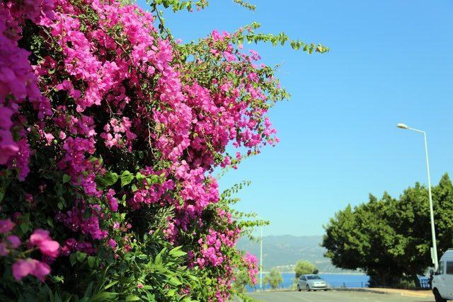 Kaş sokakları rengarenk