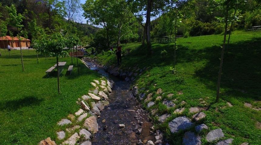 Kocaeli&rsquo;nde 1 kişiye 12 metrekare yeşil alan