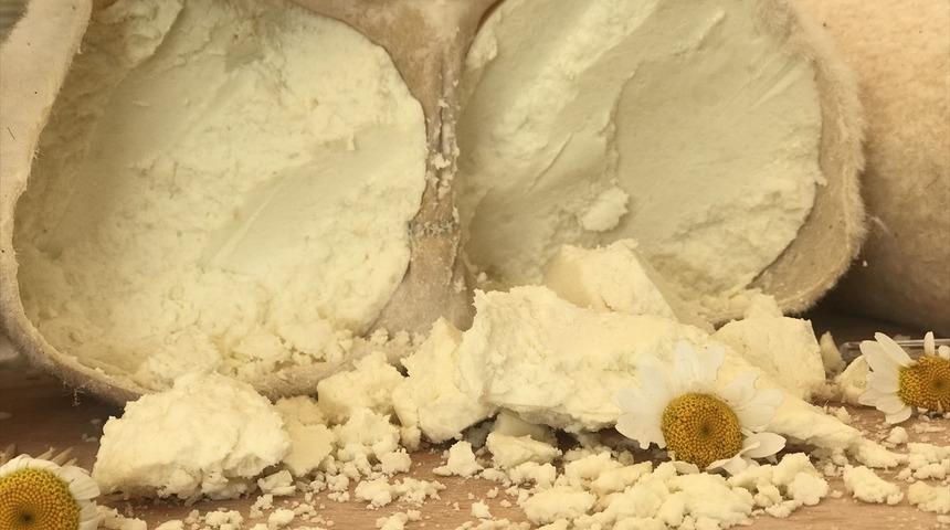 Anadolu peynirleri Kars'ta tanıtıldı