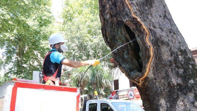 Kocaeli tarihine sahip çıkıyor