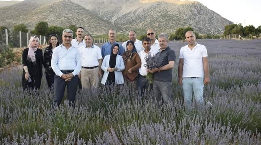 Siirtli öğrenciler Elmalı’da tarım işletmelerini inceledi