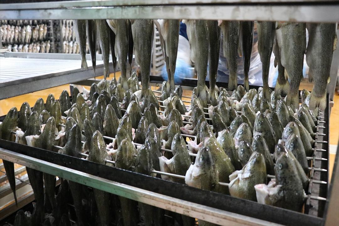 T&uuml;ts&uuml;lenmiş alabalıkla &Ccedil;in ve Japonya pazarına girdiler