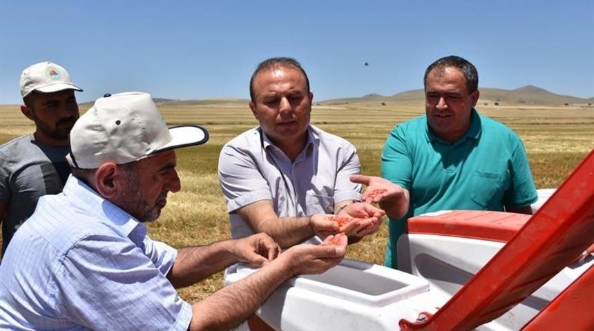Aksaray&rsquo;da doğrudan ekim mibzeri arazide