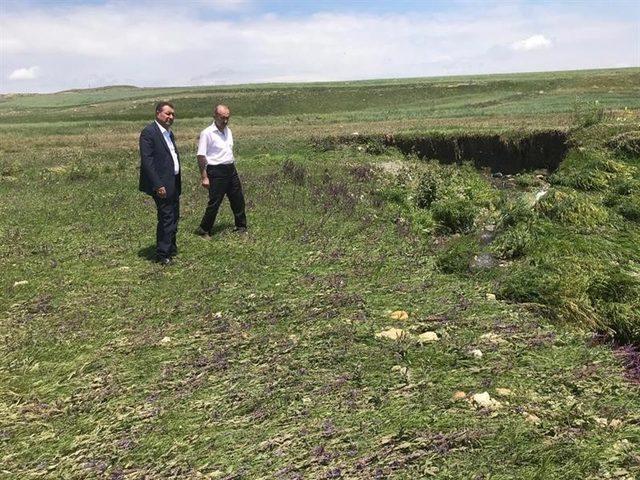 Tarım ve Orman Müdürü Dr. Bozkale köyünde incelemelerde bulundu