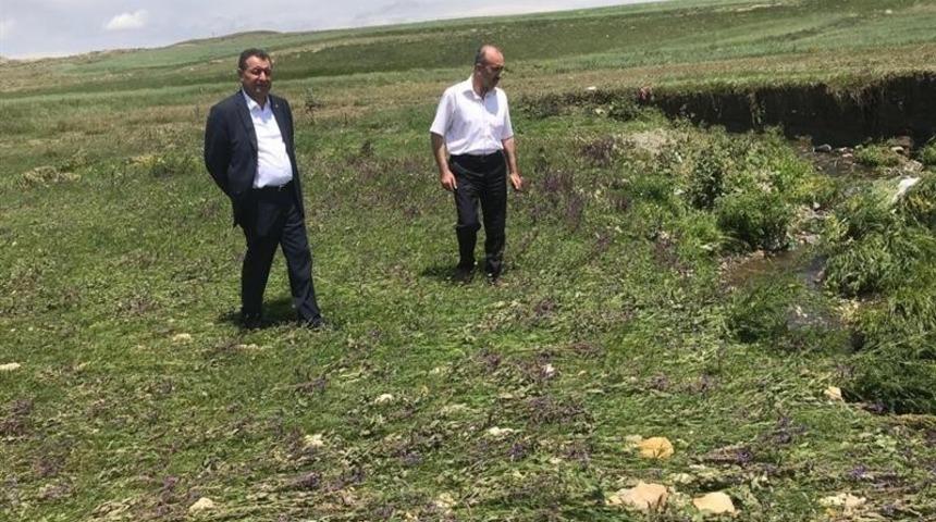 Tarım ve Orman M&uuml;d&uuml;r&uuml; Dr. Bozkale k&ouml;y&uuml;nde incelemelerde bulundu