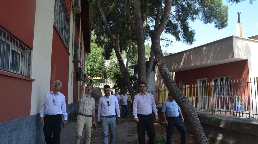 Okul bahçesindeki tehlike arz eden ağaçlar için kesim kararı