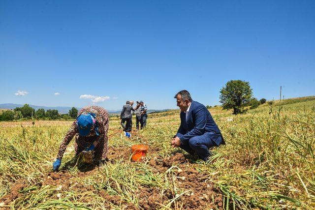 Başkan Çatal’dan Sarımsak tarlasına ziyaret