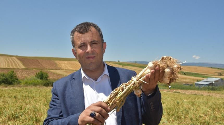 Başkan &Ccedil;atal&rsquo;dan Sarımsak tarlasına ziyaret