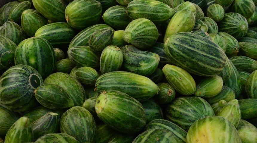 Dışı karpuza içi kavuna tadı salatalığa benziyor