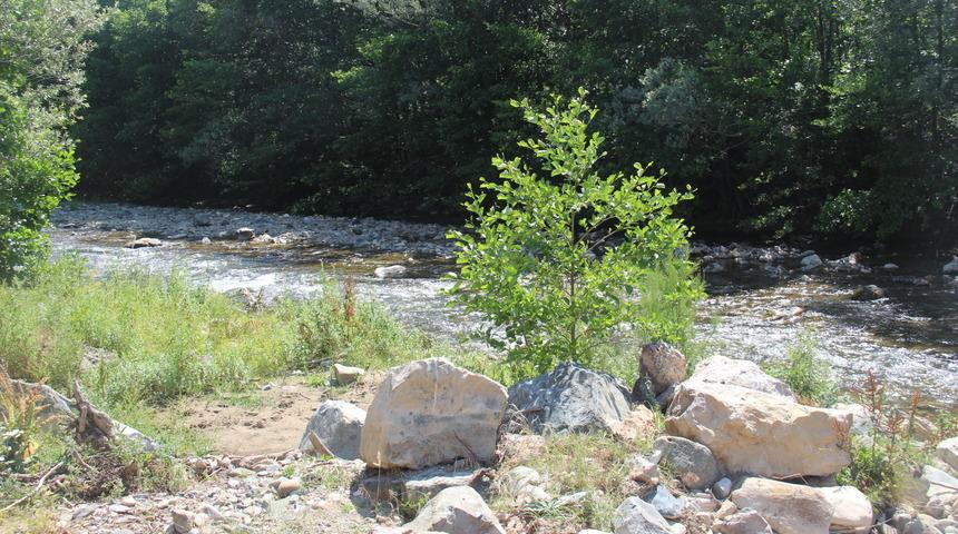 120 kişi zehirlenmişti... Köy halkı tedirgin