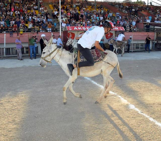 Nasreddin Hoca nın memleketinde, en g&uuml;zel g&ouml;zl&uuml; eşek se&ccedil;ildi 2