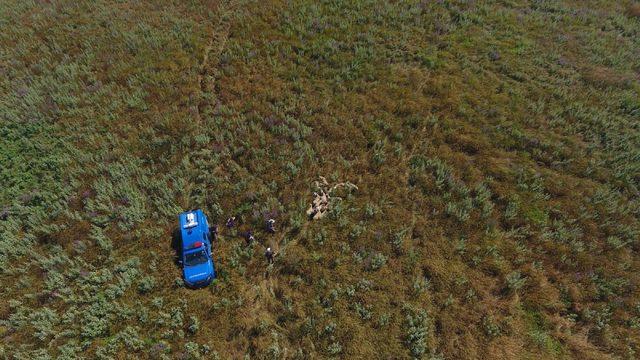 Jandarma, kayıp koyunları drone ile buldu