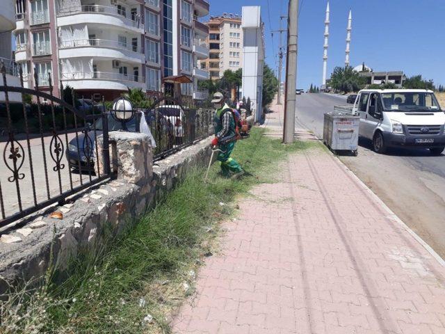 Tehlikelere davetiye çıkaran yabani otlar temizleniyor