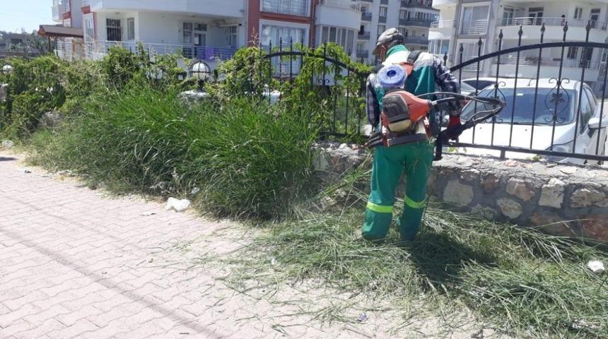Tehlikelere davetiye &ccedil;ıkaran yabani otlar temizleniyor
