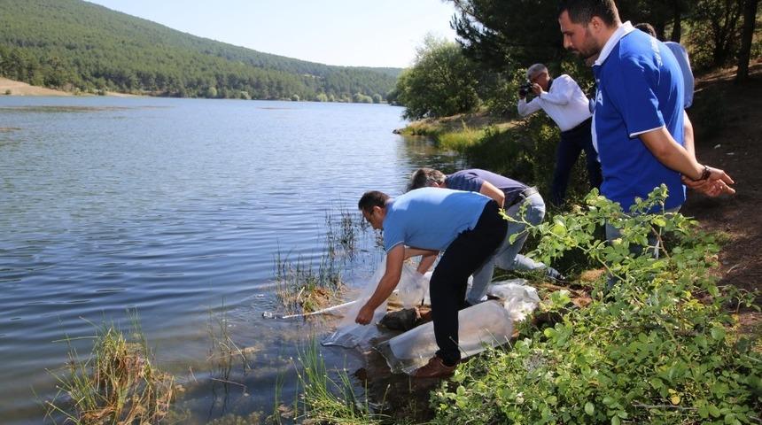 Uşak&rsquo;ta 15 bin sazan yavrusu g&ouml;letlere bırakıldı