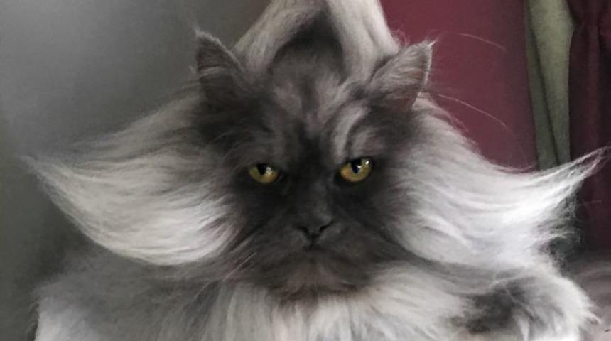 Saçlarıyla herkesi büyülüyor! Instagram'ın yeni fenomeni