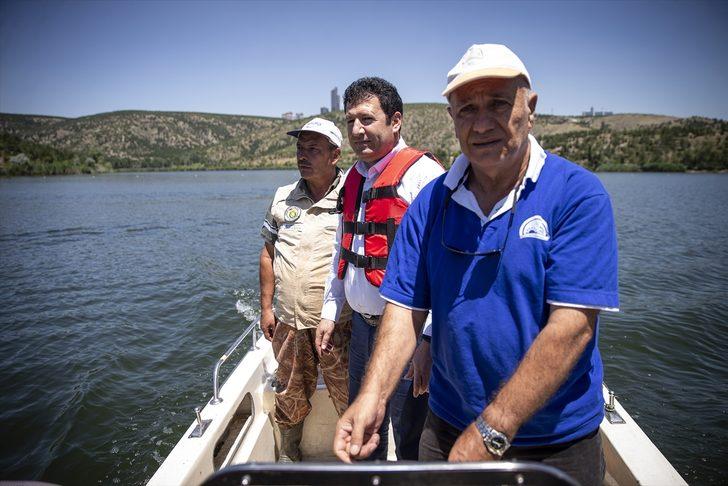 4 yıl sonra 40 santime ulaşacaklar! Tam 278 bin 500 tane... G3