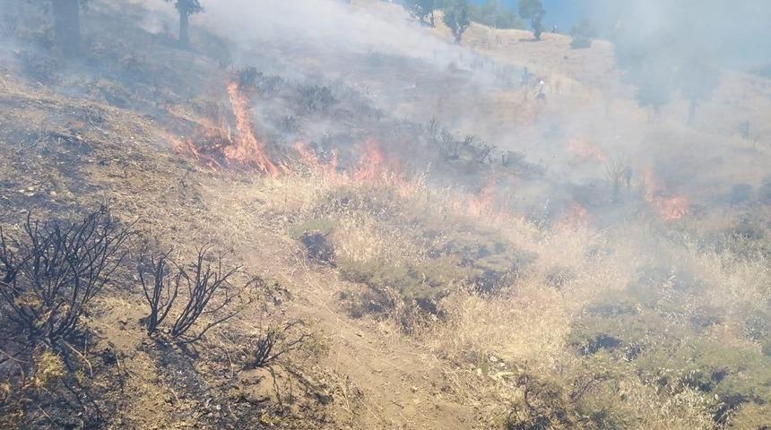 Orman yangını s&ouml;nd&uuml;r&uuml;ld&uuml;