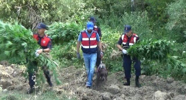 Jandarmadan nefes kesen uyuşturucu operasyonu