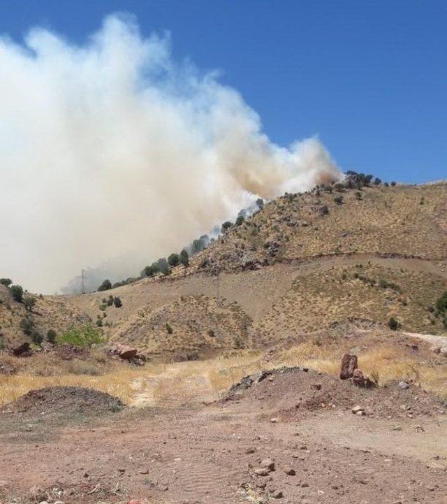 Adıyaman’da orman yangını