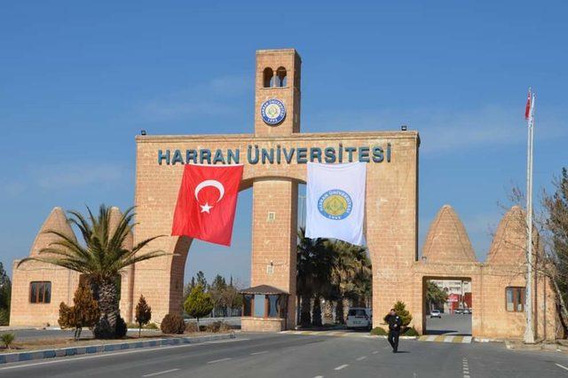 Harran &Uuml;niversitesi ndeki g&ouml;lette y&uuml;zlerce balık telef oldu 1
