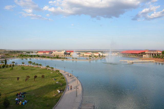 Harran &Uuml;niversitesi ndeki g&ouml;lette y&uuml;zlerce balık telef oldu 2