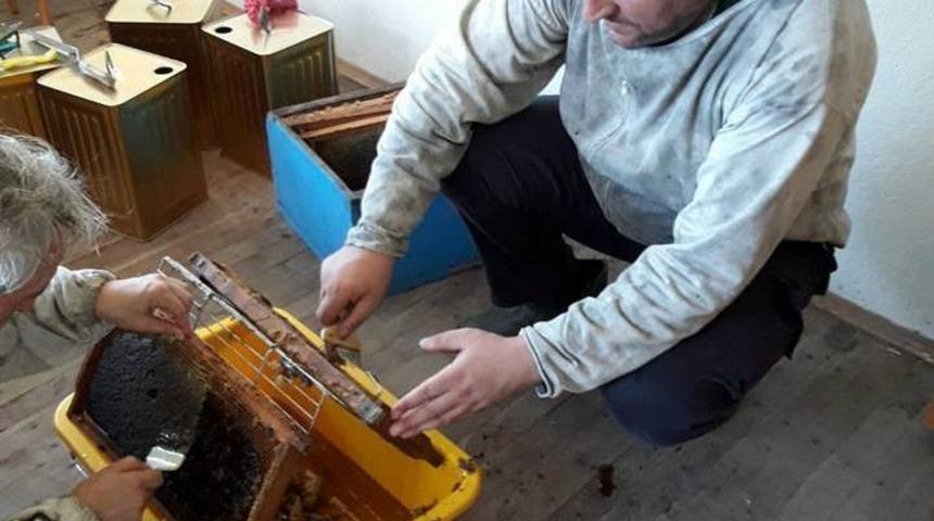 Ordu&rsquo;da kestane balı hasadına başlandı