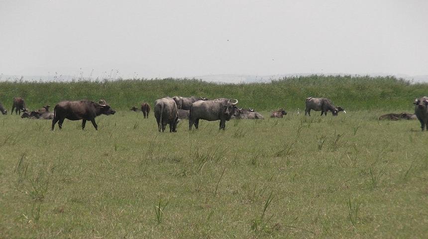 &rsquo;Manda Evi&rsquo; a&ccedil;ılıyor
