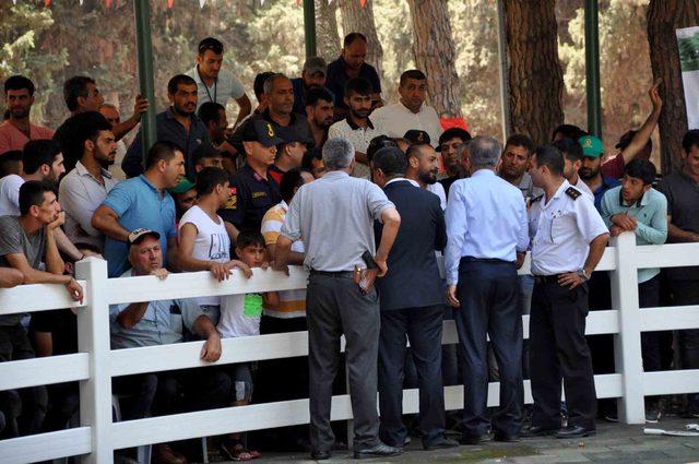 Karacabey'de tepkiler nedeniyle tay satışları ertelendi