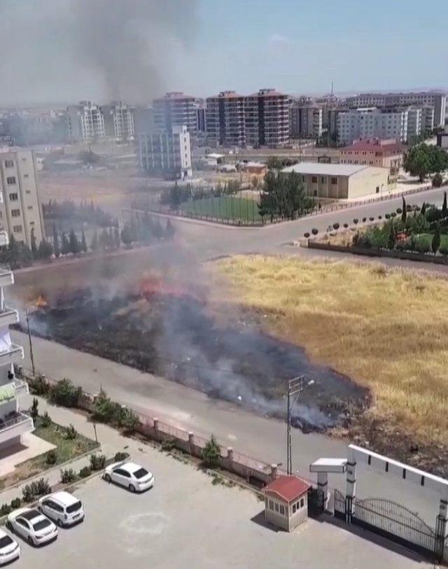 Çıkan anız yangını itfaiye söndürdü